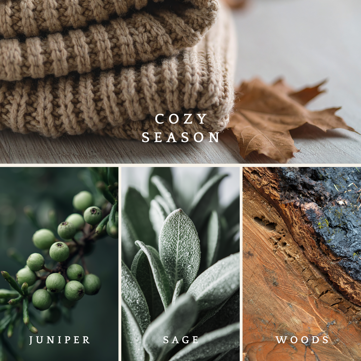 Cozy Season candle scent notes featuring a cozy knit blanket, juniper, sage, and woods.