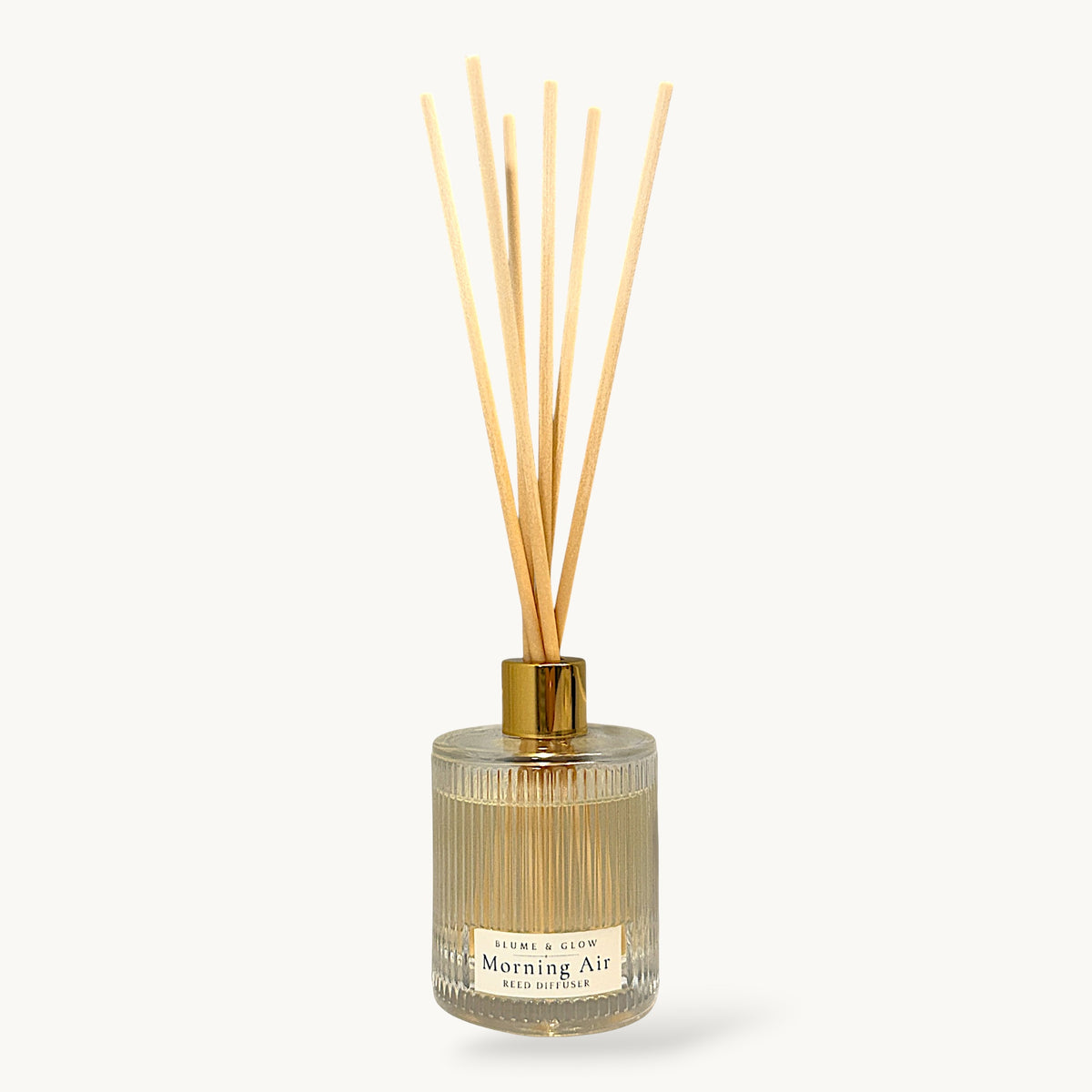 Morning Air Reed Diffuser | Fresh Ozone, Sage & Amber